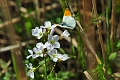 04 05 16_5551_edited-2